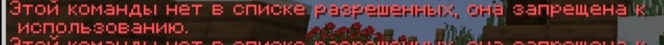 Screenshot_20250206_230900.jpg