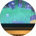 video.gif