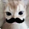 shur_angle