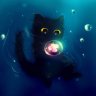 Aqua Project