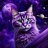 KosmoCat