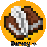 SurveyPlus